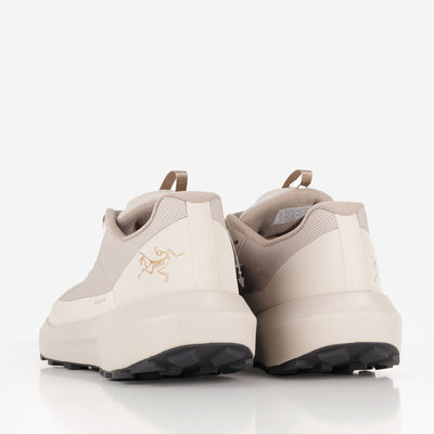 Arc'teryx Norvan LD 4 GTX Shoes